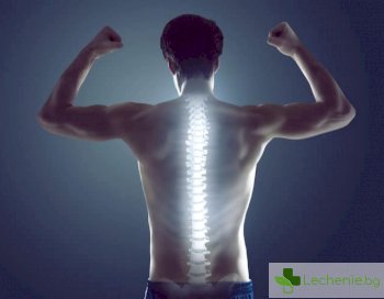 Възстановяване от травма на гръбнака - как физкултурата помага