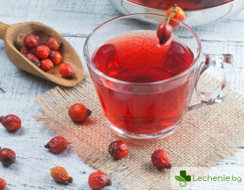 Шипка и мента - топ 9 най-полезни вида чай за здравето