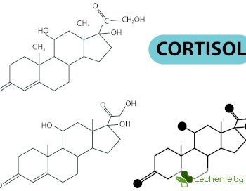 Синдром на Кушинг- значение