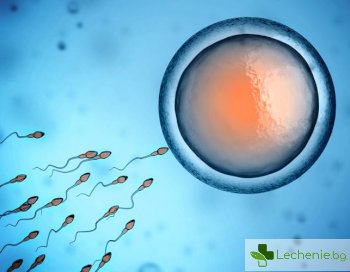 Влошаване на качеството на спермата при еякулация - кога е възможно