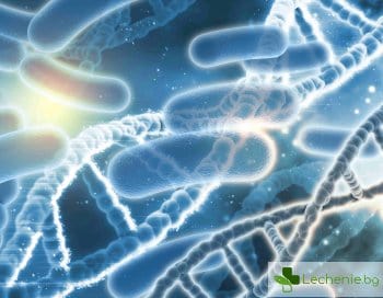 Стрептококи в гърлото