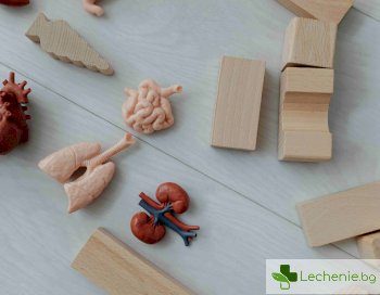 Заболявания, свързани с тежест в гърдите