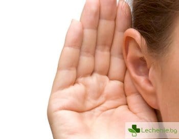 5 неща, които не знаете за ушите