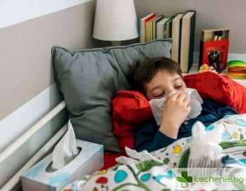 България на прага на национална грипна епидемия и заплахата от китайския вирус