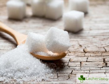 Как захарта ще ни помогне да се справим с респираторните заболявания