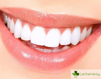 Изобретена е алтернатива на зъбните импланти - нови зъби