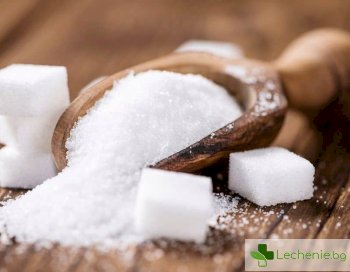 Алтернативи на захарта