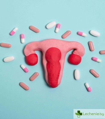 Ролята на естрадиола