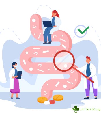 Калпротектин