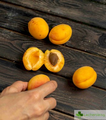 Кайсиеви ядки