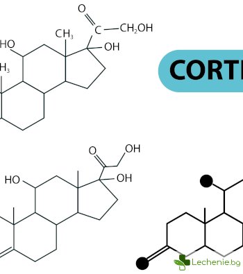 Кортизолът