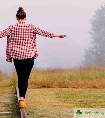 Вестибуларен апарат