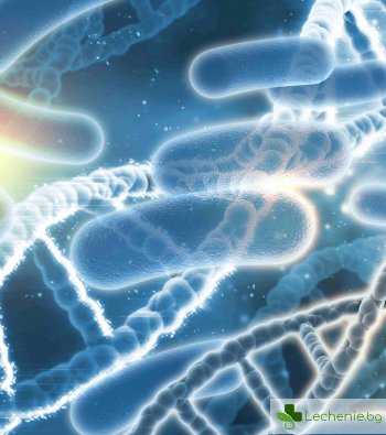 Стрептококи в гърлото