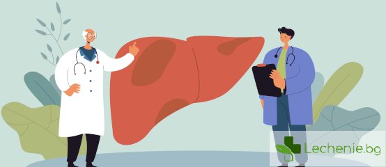 Същност на хемангиома на черния дроб