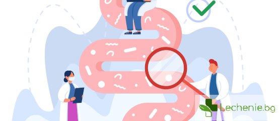 Калпротектин