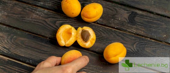 Кайсиеви ядки