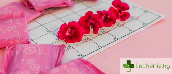 Менструален синхрон