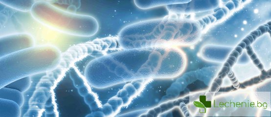 Стрептококи в гърлото