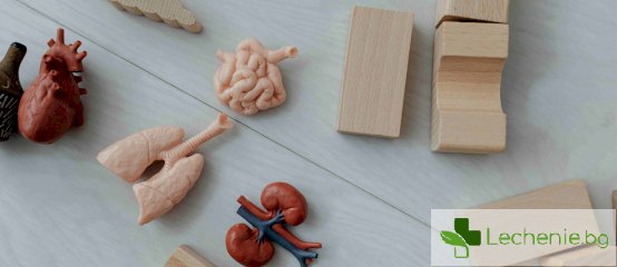 Заболявания, свързани с тежест в гърдите