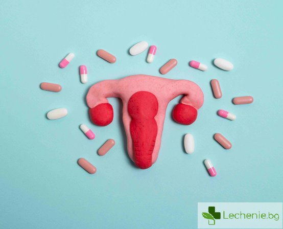 Ролята на естрадиола