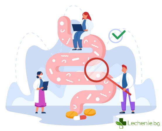 Калпротектин