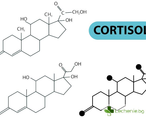 Кортизолът