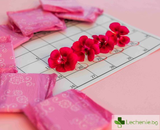 Менструален синхрон