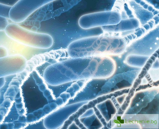 Стрептококи в гърлото