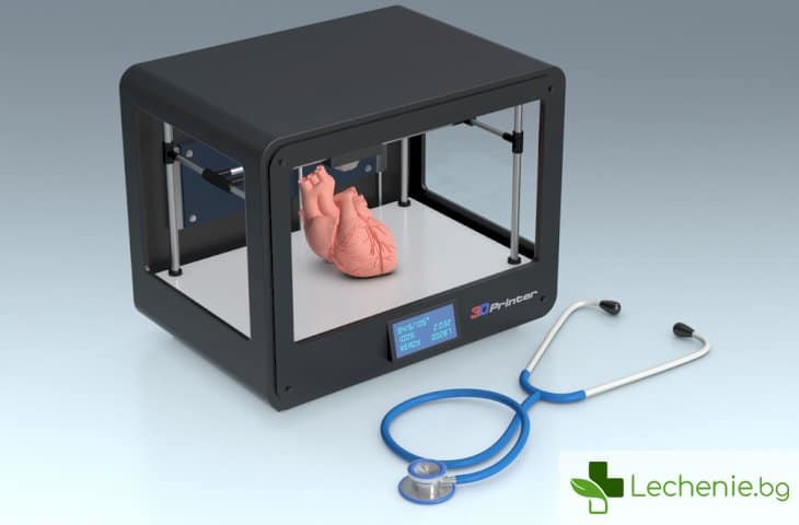 Принтер за черен дроб – кои органи вече се печатат на 3D