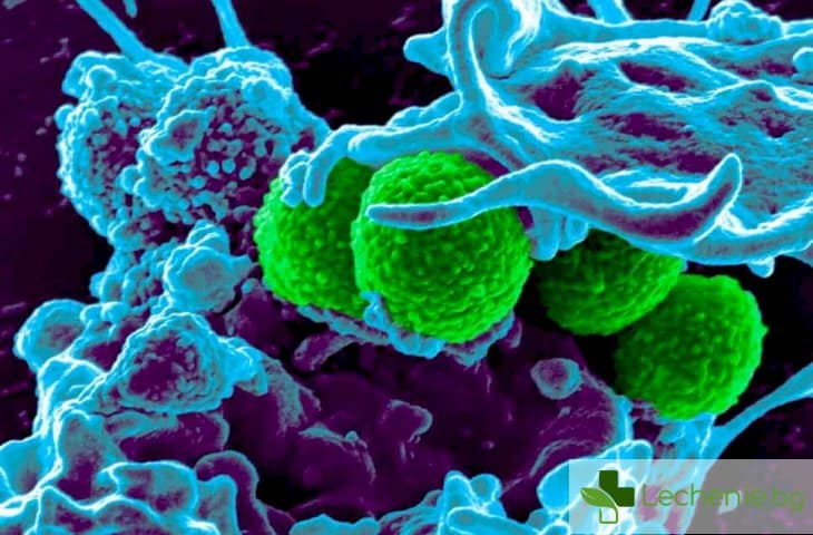 Нова супербактерия, открита в Африка издържа на почти всички антибиотици