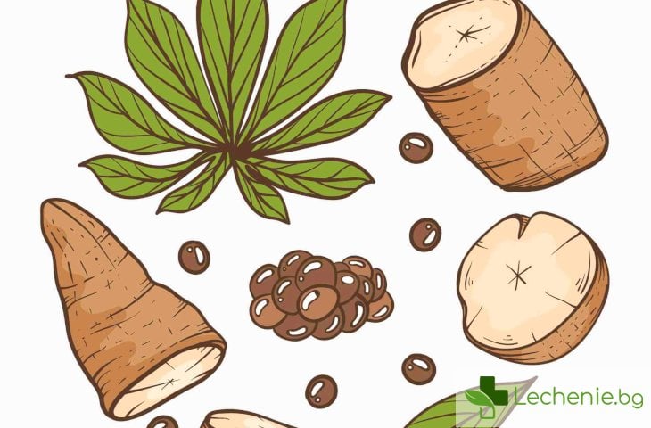 Ползите от Дивия Ям