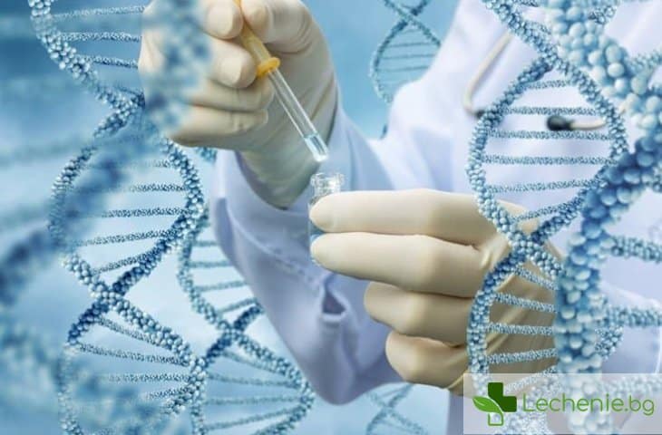ДНК-тестове - дали имаме от тях нужда и толкова ли са точни