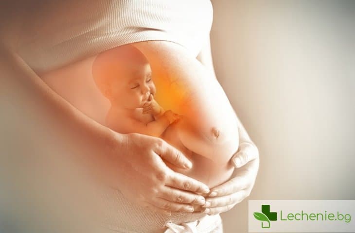 Най-голямата заблуда за бременността е опровергана