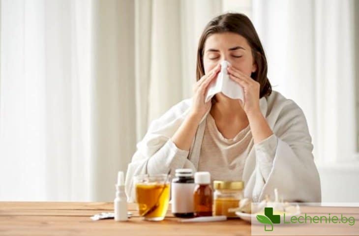 Народни средства или лекарства - кое помага повече при грип