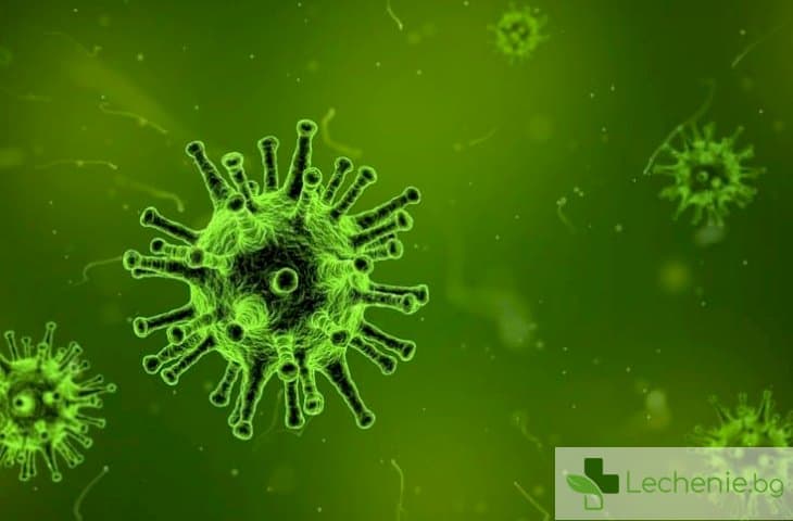 Обявиха национална грипна епидемия до 12 март за първи път от години