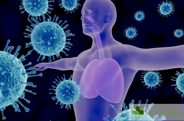 Война с патогените - как имунитетът ни предпазва от вируси