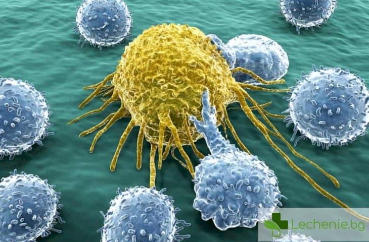 Имунната система може да пребори всички видове рак с правилната настройка
