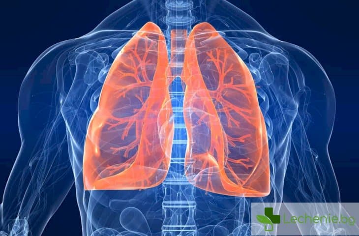 5 доказани от науката начина за укрепване на белите дробове