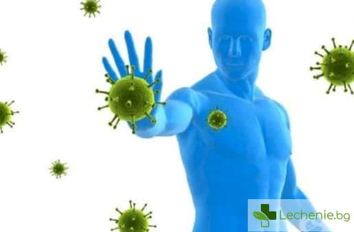 Как да поддържаме имунната си система здрава и силна