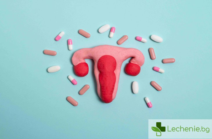 Ролята на естрадиола