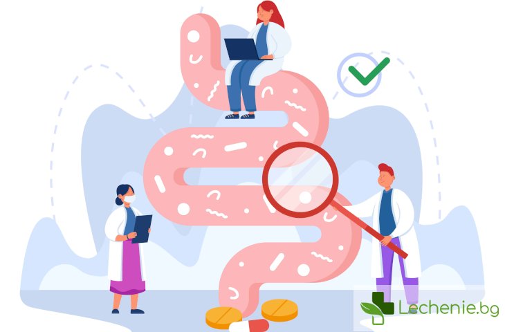 Калпротектин