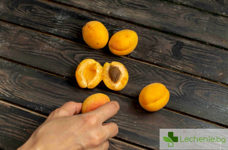 Кайсиеви ядки