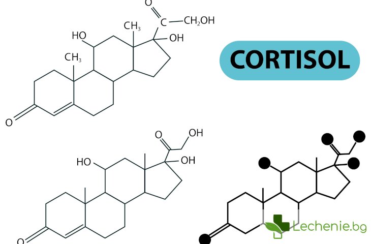 Кортизолът