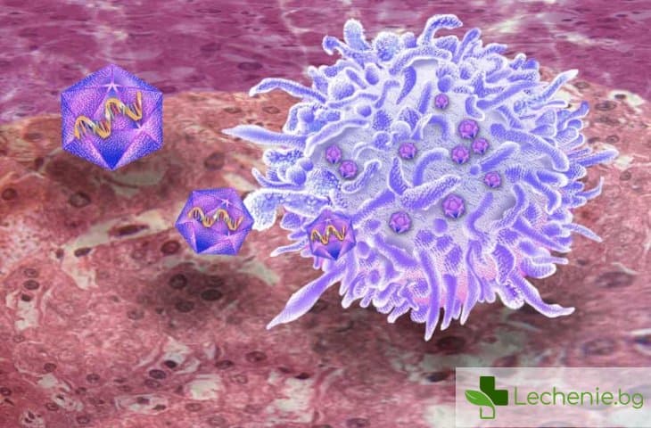 ХИВ вирусът поема контрола и управлението на гените на рака