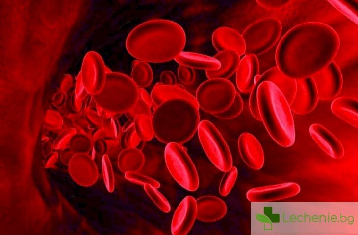 Какво показва кръвта ни за нашето здраве