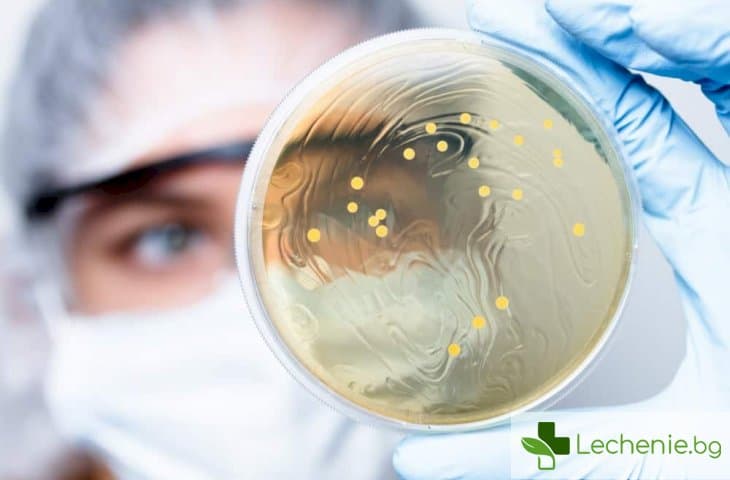 Лактобактерии в носа предпазват от коварен синузит, предотвратяват ли го