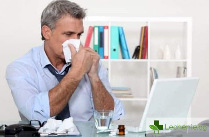 Офис алергия - причини за възникване и начини за защита