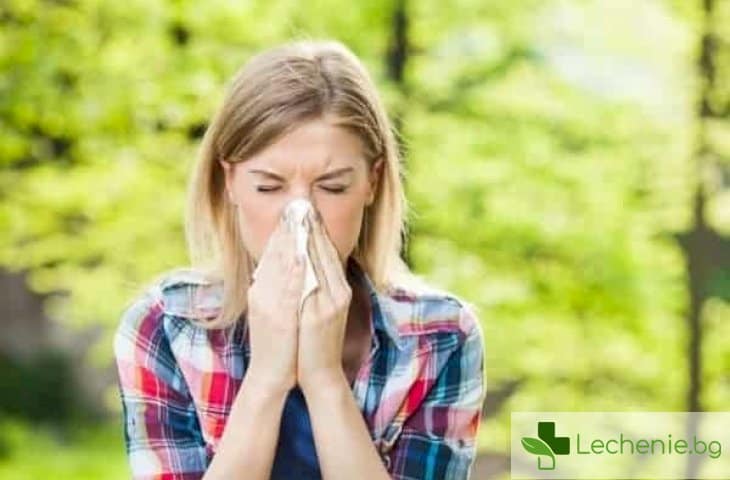 Сезонът на алергиите - топ 5 най-чести грешки при полиноза
