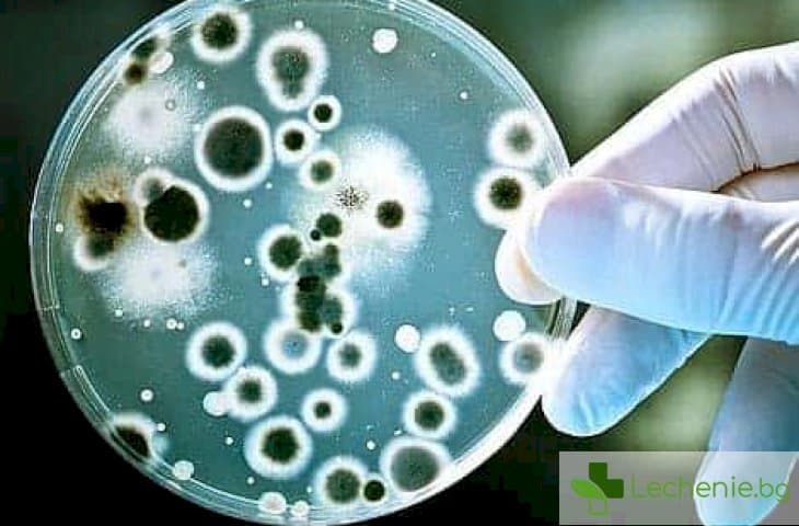 Неуязвими за антибиотиците бактерии предизвикват световна епидемия