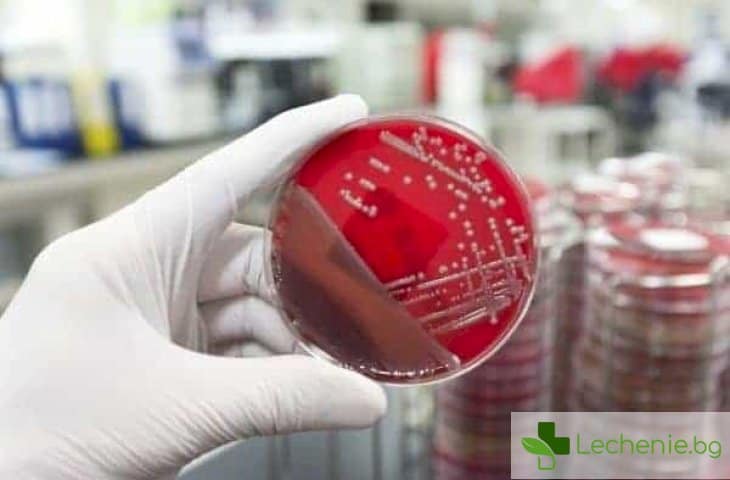 Тест, откриващ за 5 минути бактериална инфекция, ще намали нуждата от антибиотици